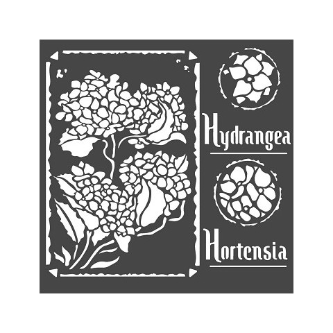 Botanica Botanica