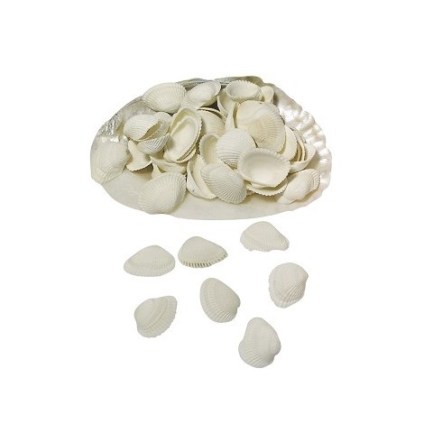 Conchiglie Clovis Conchiglie Clovis