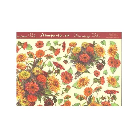 Fiori Gialli Fiori Gialli