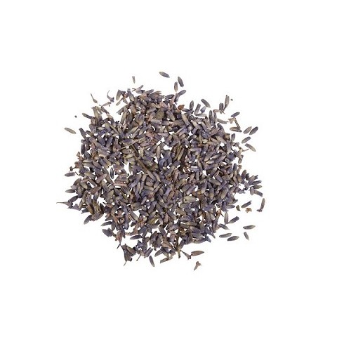 Lavanda Lavanda