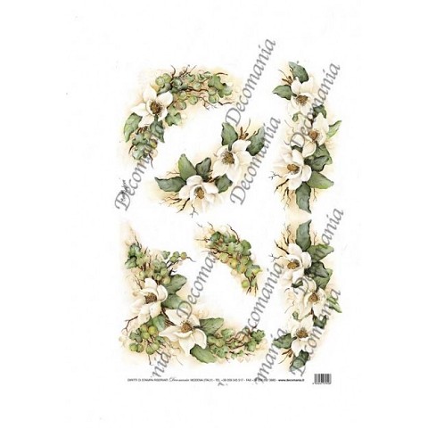 Fiori di Natale