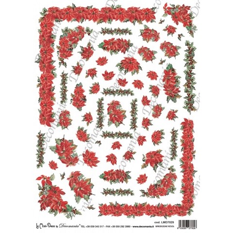 Bordure stella di natale