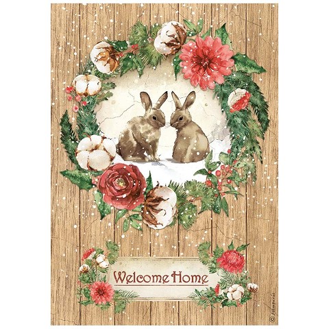 Wecome Home Bunny