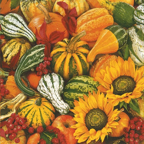 Zucche e Girasoli