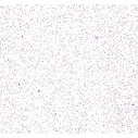 Glitter Iridescente Bianco