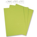 Foglio Verde Tiglio