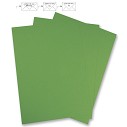 Foglio Verde