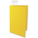 Biglietto Giallo