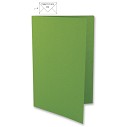 Biglietto Verde