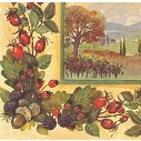 Tovagliolo autunno in campagna