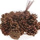 Pigne di Pino retina 130gr