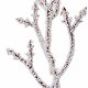 Rametti decorativi ghiacciati 6pz